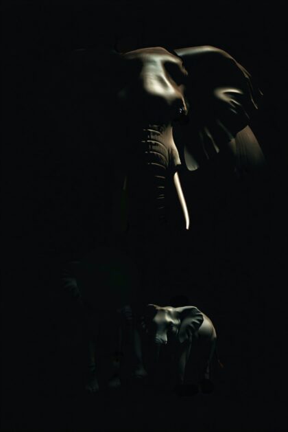 Tusks in Shadowed Light