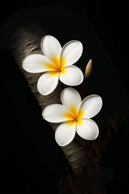 Whispers of Forgotten Bloom