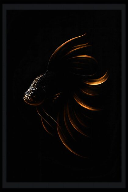 The Silent Radiance