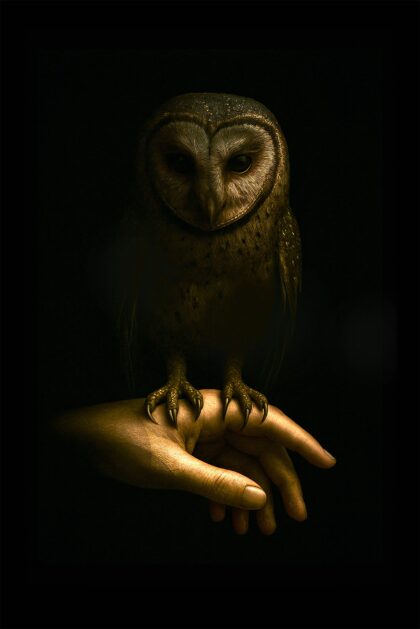 Keeper of Midnight Trust