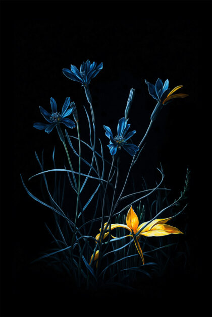 The Sapphire Song of Night